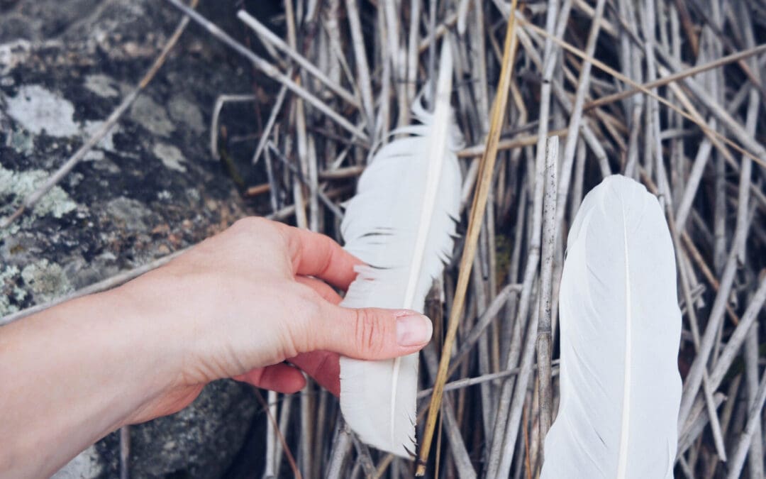 Vanhustenhoito – kenelle vastuu kuuluu?