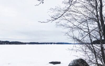 Rikoksen uhrina eli asianomistajana rikosprosessissa, osa III