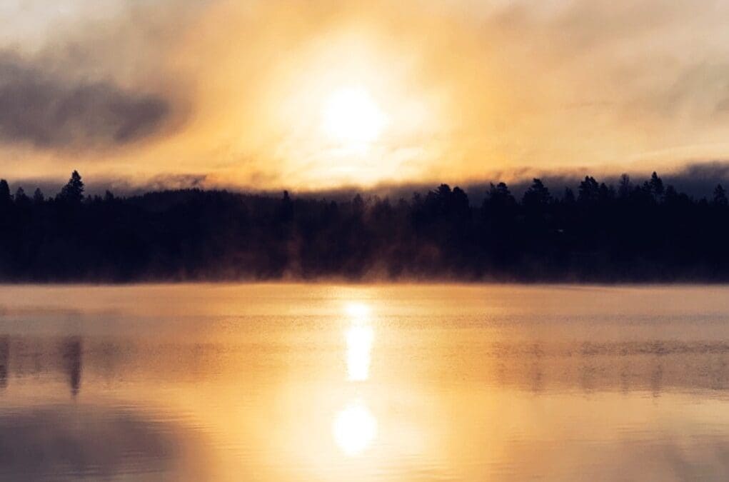 Riita-asian kulku, osa I: alkuneuvottelusta lainvoimaiseen tuomioon