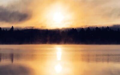 Riita-asian kulku, osa I: alkuneuvottelusta lainvoimaiseen tuomioon