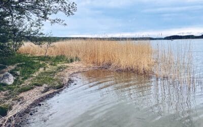 Lapsiasioiden sovittelu