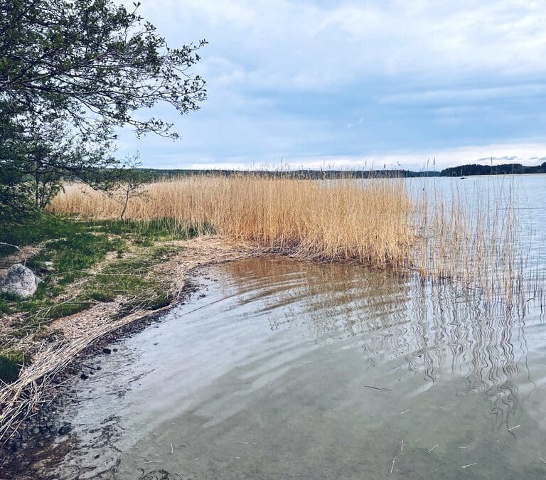 Lapsiasioiden sovittelu