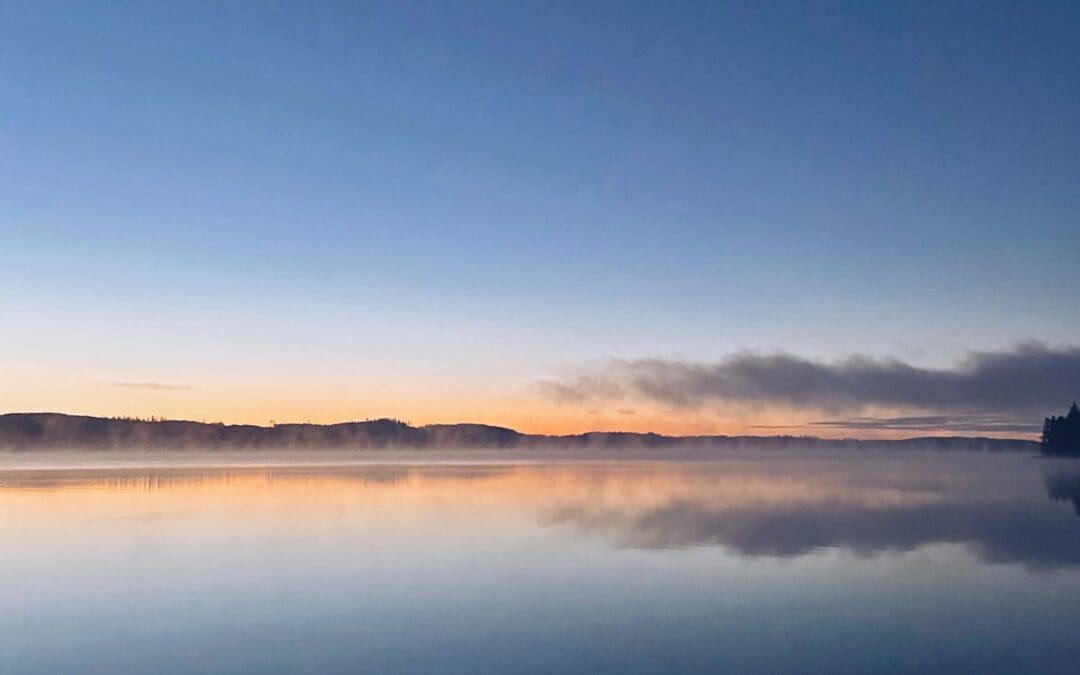 Asianajaja seksuaalirikoksen uhrin apuna