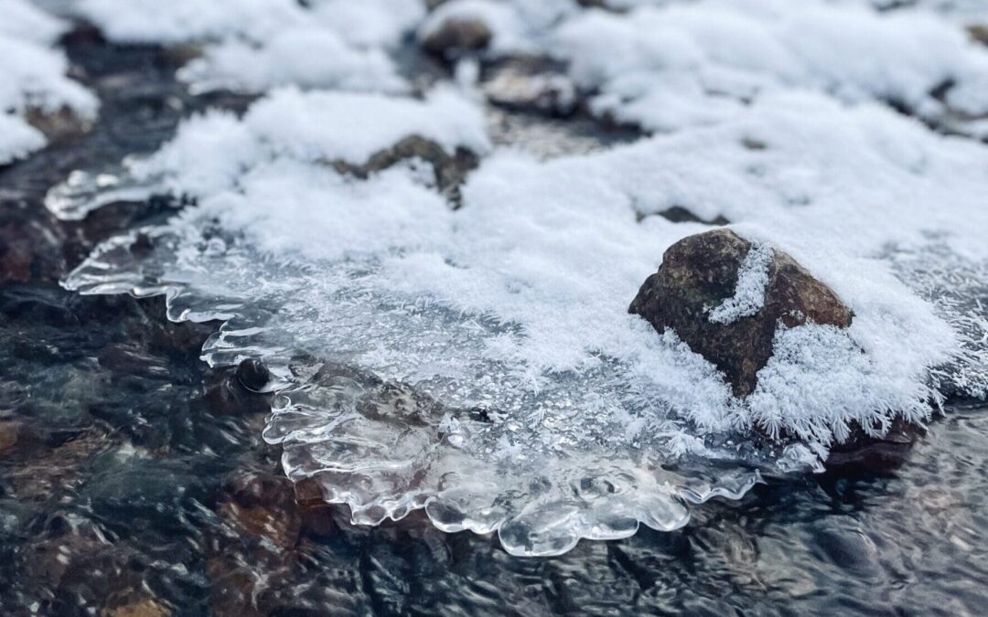 Rikoksen uhrina, eli asianomistajana rikosasiassa, Osa I