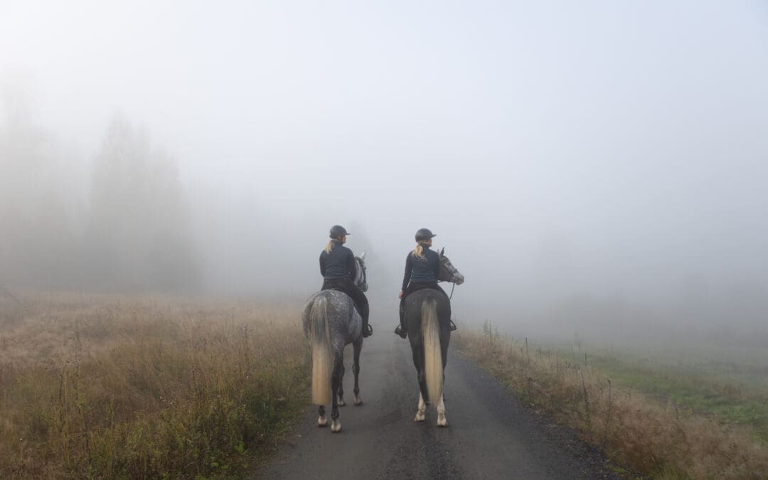 Hevonen liikenteessä – mitä laki edellyttää