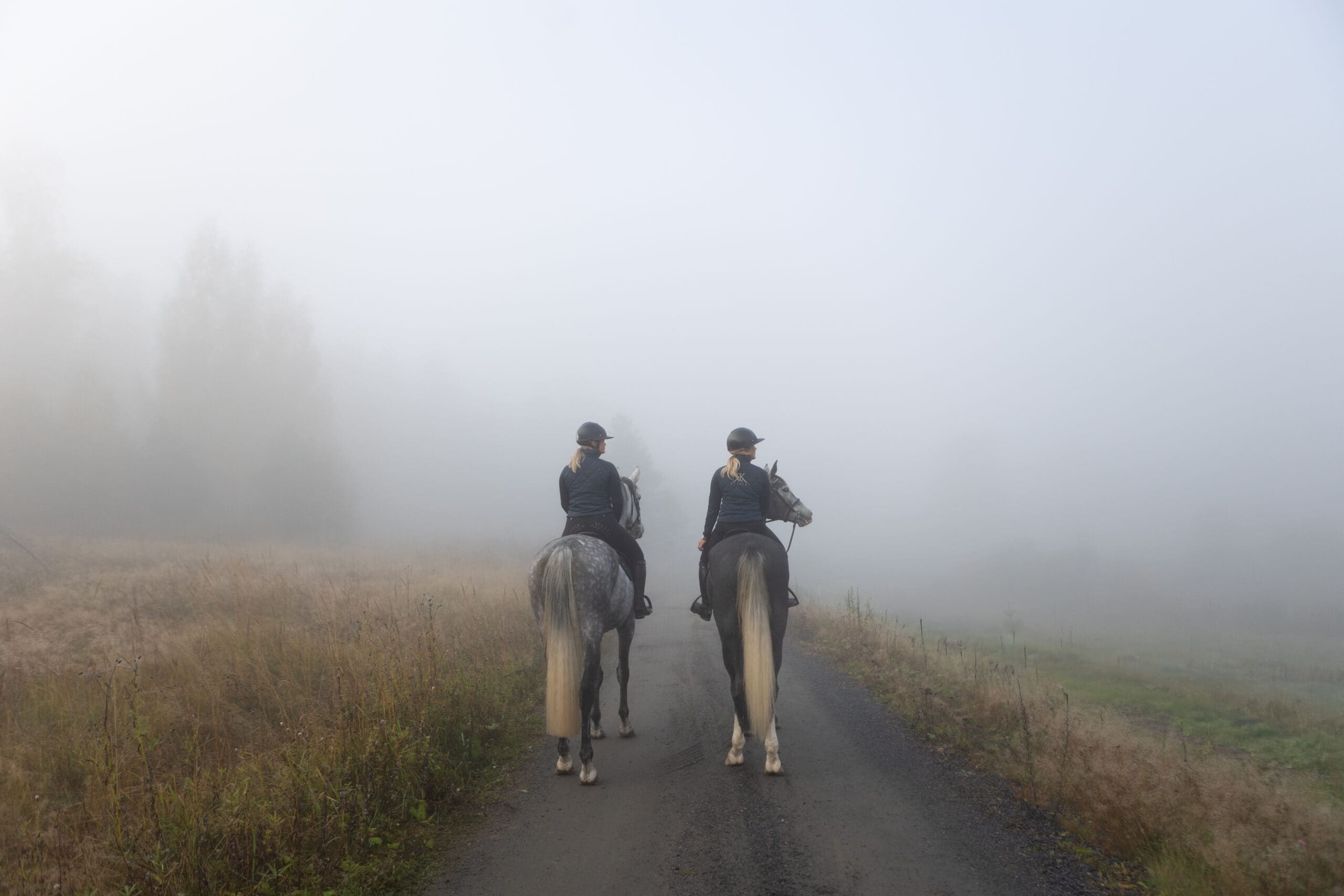 hevonen liikenteessä lain näkökulmasta Hevonen liikenteessä tieliikennelain mukaan - ratsastaja noudattaa liikennesääntöjä ja käyttää heijastimia sekä valoja turvallisen ohituksen varmistamiseksi