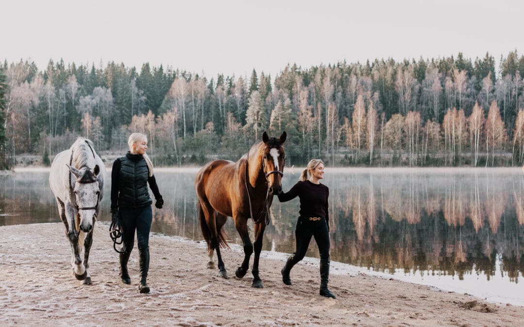 Hevosen yhteisomistajuus – vastuiden ja oikeuksien jakautuminen