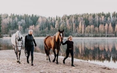 Hevosen yhteisomistajuus – vastuiden ja oikeuksien jakautuminen