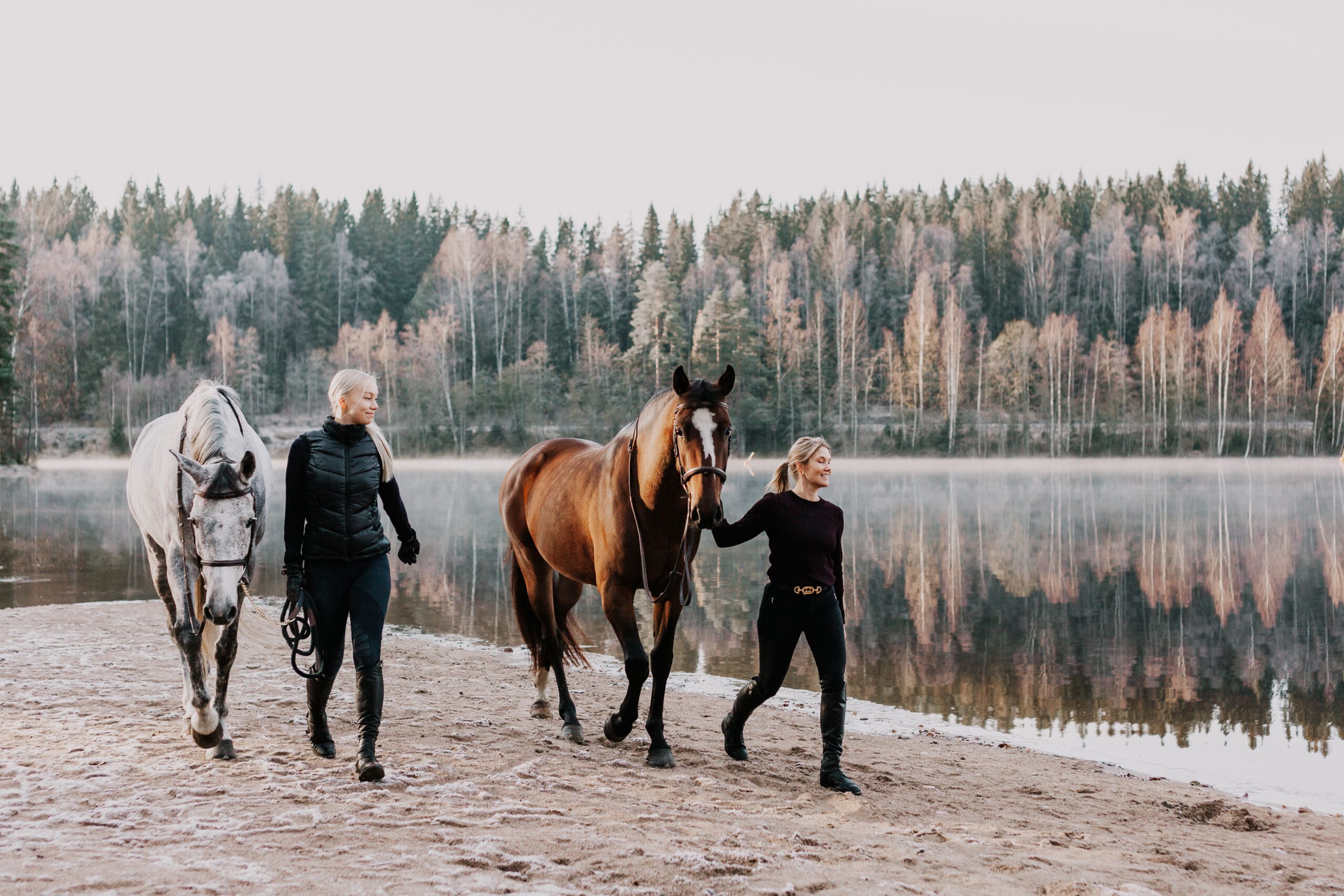 Asianajaja apuna hevosalan sopimuksissa Hevosen yhteisomistajuus edellyttää selkeitä sopimuksia