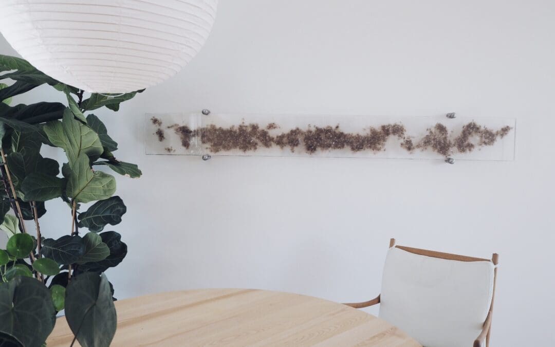 Kiinteistökauppariita – milloin on hyvä konsultoida asianajajaa?