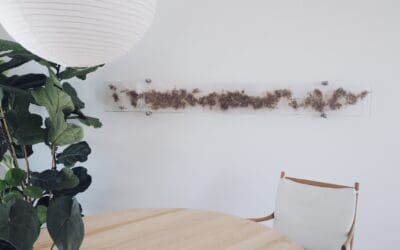 Kiinteistökauppariita – milloin on hyvä konsultoida asianajajaa?