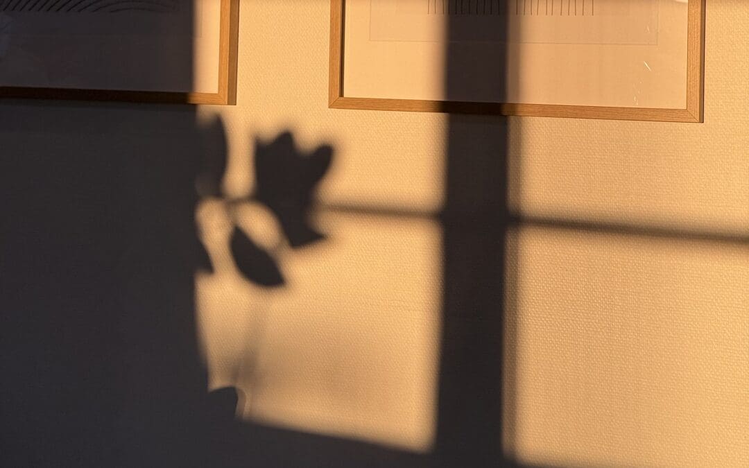 Miksi avioehto kannattaa tehdä – asiakaslähtöinen opas parisuhteen taloudelliseen turvaan