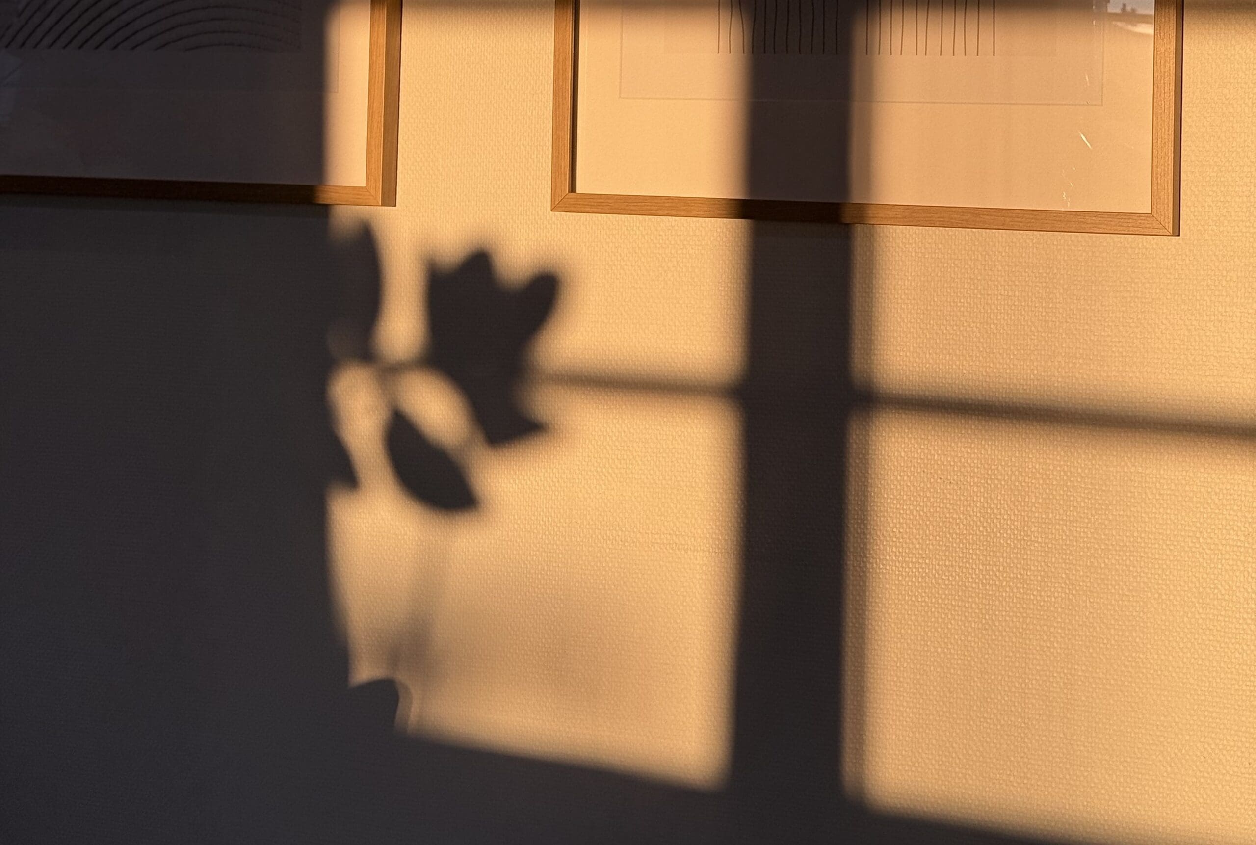 Tässä postauksessa keromme avioehdon hyödyistä